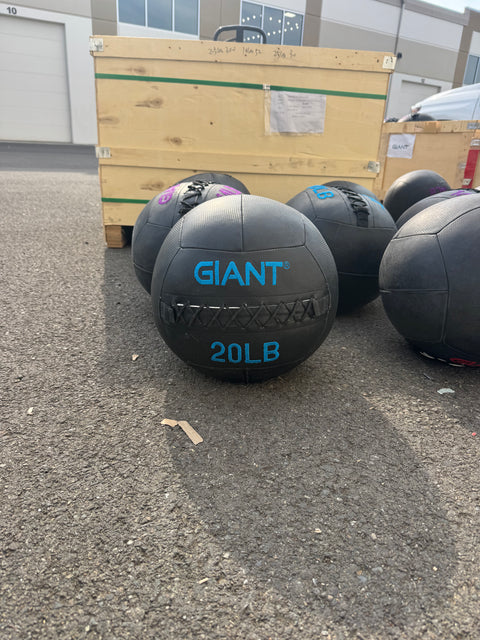 Local Online Garage Sale Medicine Balls