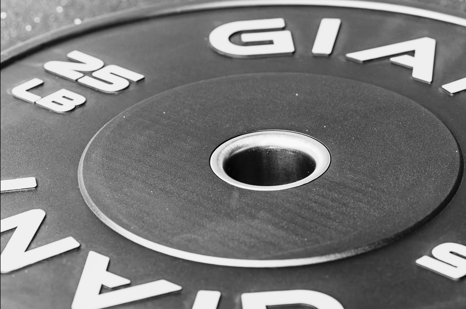 Base Bumper Plates 2.0