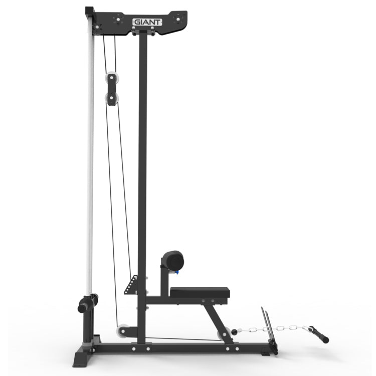 Rogue plate discount loaded lat pulldown