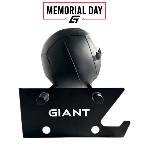 GIANT Wall-Mounted Medicine Ball Storage Rack