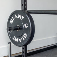 GIANT 2X Weight Storage Pegs