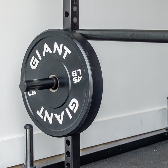 GIANT 2X Weight Storage Pegs
