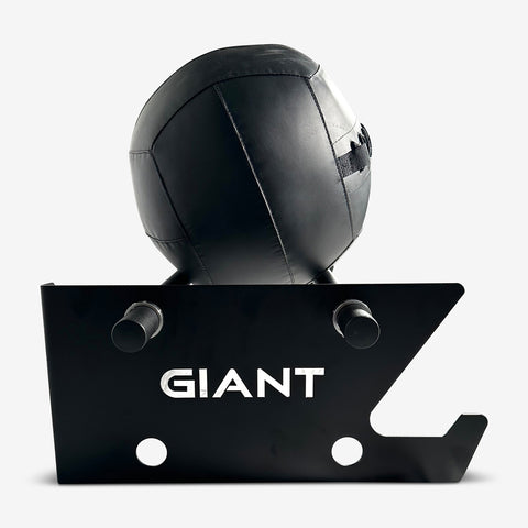 GIANT Wall-Mounted Medicine Ball Storage Rack