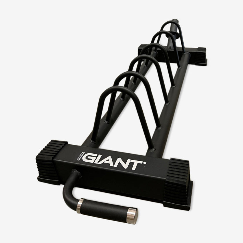 Plate Storage: Weight Plate Rack for Sale – Giant Lifting