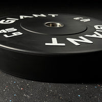 Base Bumper Plates 2.0