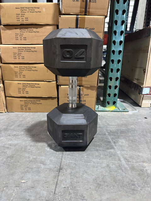 Local Online Garage Sale Dumbbells