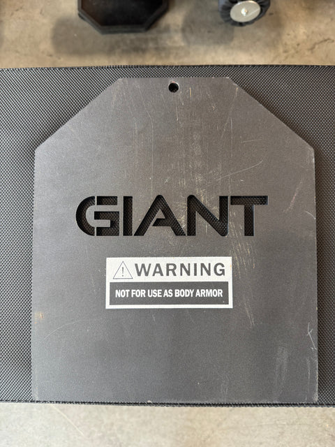 Local Online Garage Sale Vest Weight Plates