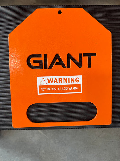 Local Online Garage Sale Vest Weight Plates