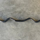 Local Online Garage Sale Rackable Curl Bar
