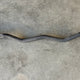 Local Online Garage Sale EZ Curl Bar