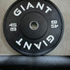 GIANT Black/White Bumper Plates (Factory Seconds)