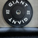 GIANT Black/White Bumper Plates (Factory Seconds)