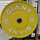 GIANT Color Bumper Plates (Factory 2nd)