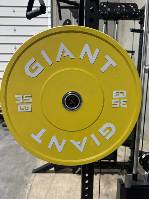 GIANT Color Bumper Plates (Factory 2nd)