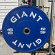 GIANT Color Bumper Plates (Factory 2nd)