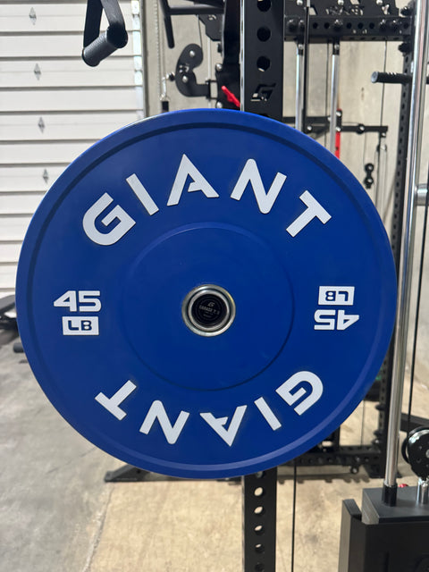 GIANT Color Bumper Plates (Factory 2nds)