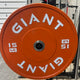 GIANT Color Bumper Plates (Factory 2nd)