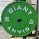 GIANT Color Bumper Plates (Factory 2nd)