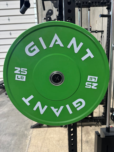 GIANT Color Bumper Plates (Factory 2nd)