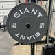 GIANT Color Bumper Plates (Factory 2nd)