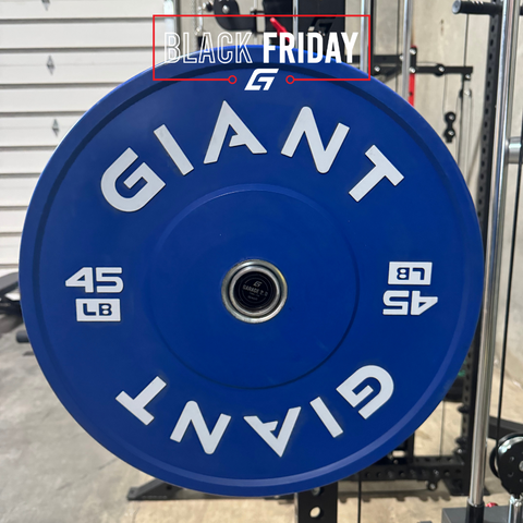 GIANT Color Bumper Plates (Factory 2nd)