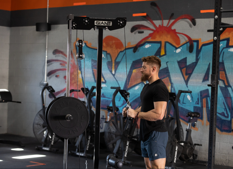 Standalone Lat Pulldown & Low Row Machine – Giant Lifting