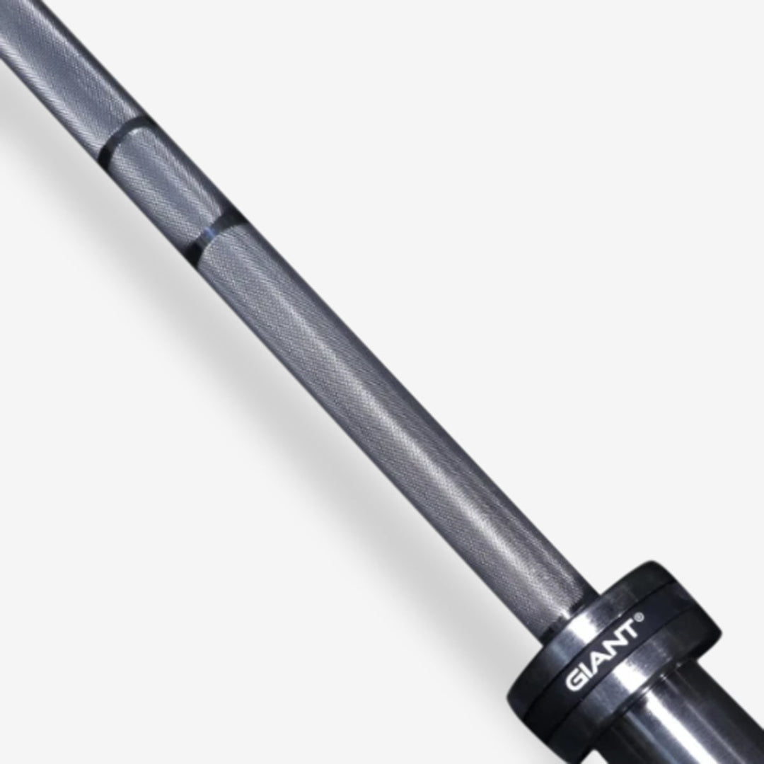 BARBELLS Giant Lifting