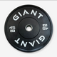 GIANT Black Bumper Plates (Final Sale)