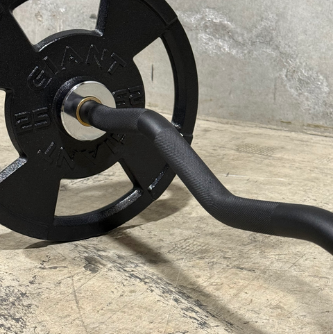 GIANT V2 EZ Curl Bar