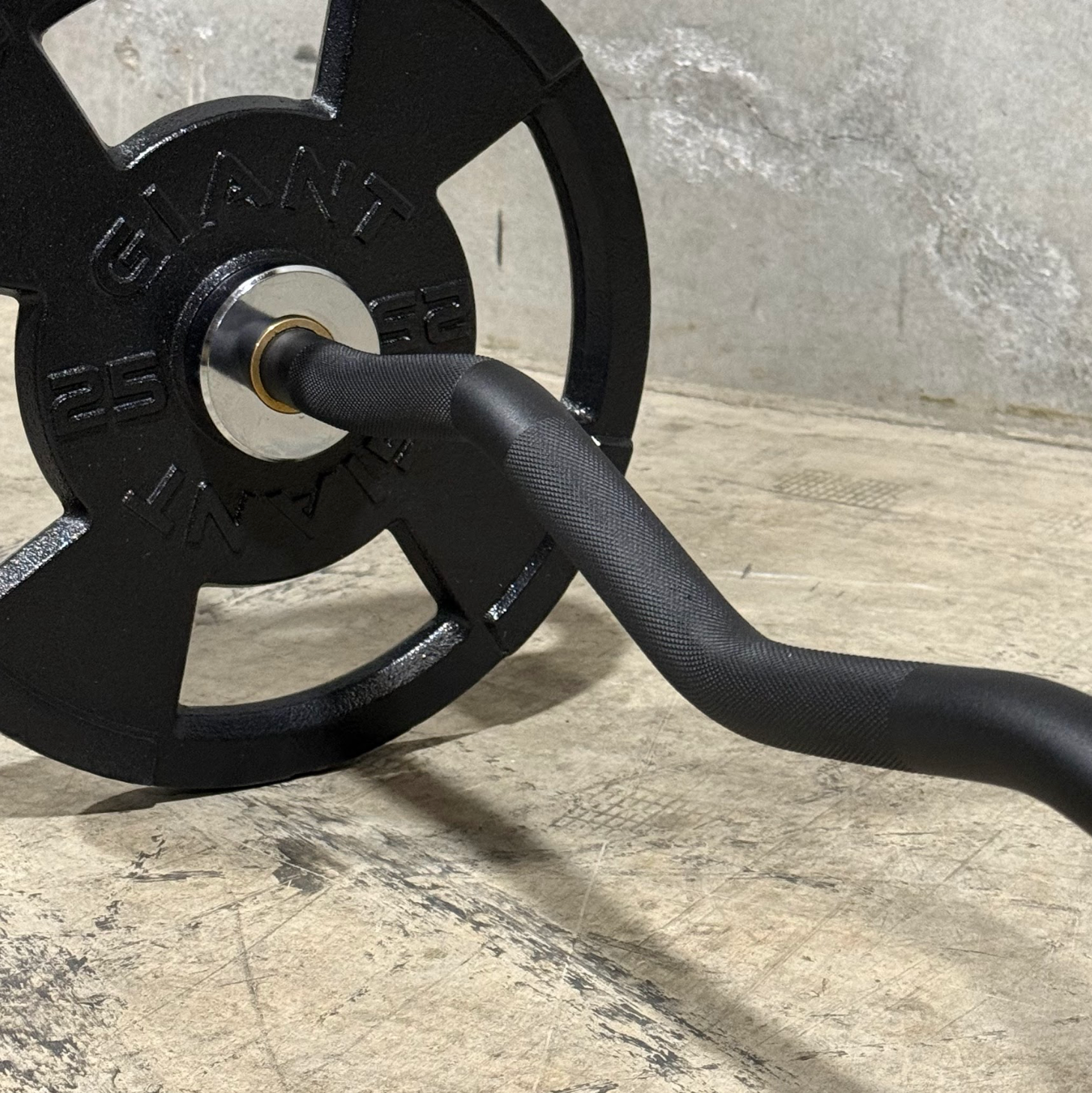 V2 EZ Curl Bar
