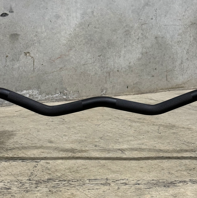GIANT V2 EZ Curl Bar