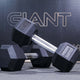GIANT Rubber Hex Dumbbell Pairs - Straight